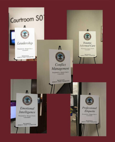 St Louis County Circuit Court hosted its first Professional